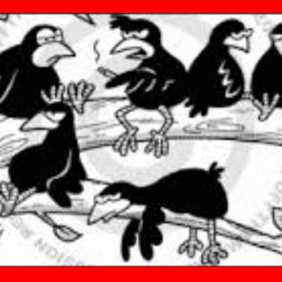 black birds cartoon