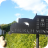 CM village sign