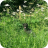 Image: 20190627_085244