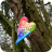 Image: 20200403_095417