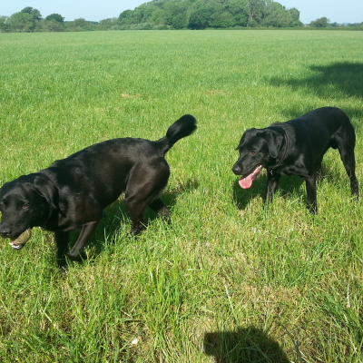 Image: 20200528_092146