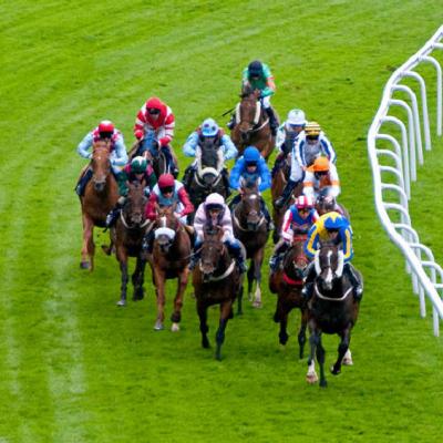 Race Night (1)