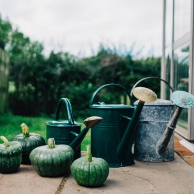 Watering Cans