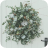 Wild Wreath